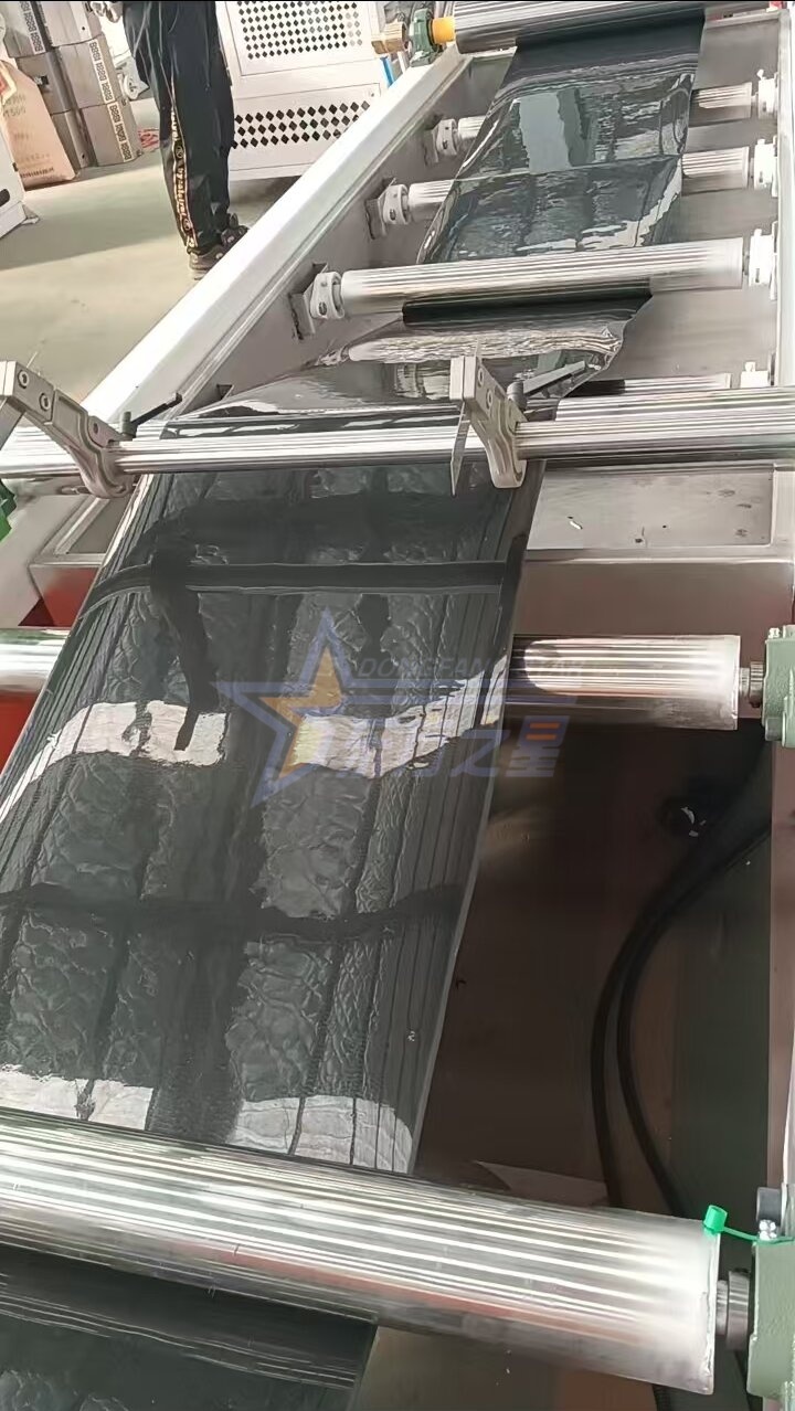 Lorem visitationes Qingdao Eaststar Factory pro De-Site Tentatio Curre PP / PS Semen Tray Sheet Productio Linea