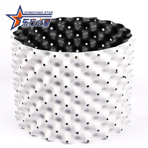 Cur radix continentia tam popularis?